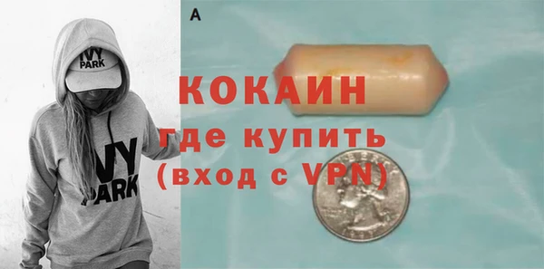 apvp Кукмор