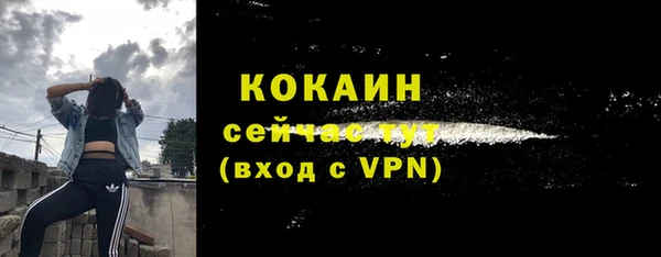 сатива Лагань