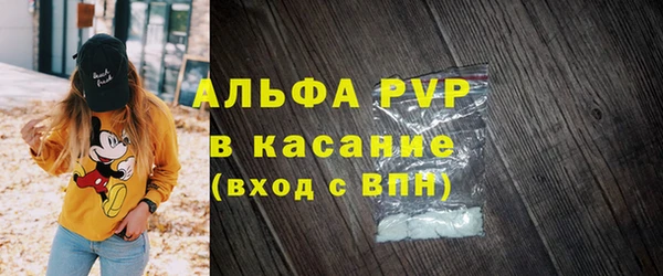 стаф Ладушкин