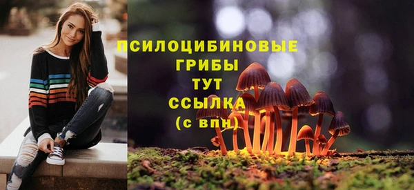 прущий лед Куйбышев