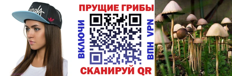 кракен ССЫЛКА  Чапаевск  Псилоцибиновые грибы мухоморы 