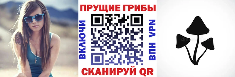 Псилоцибиновые грибы MAGIC MUSHROOMS Чапаевск