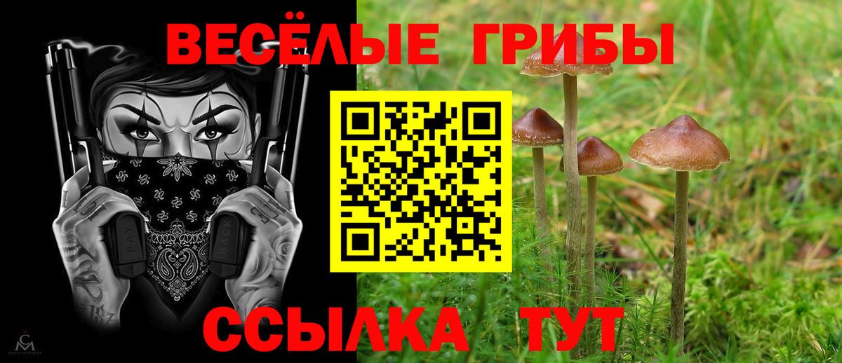 Чапаевск  Галлюциногенные грибы Magic Shrooms  Вход с VPN 