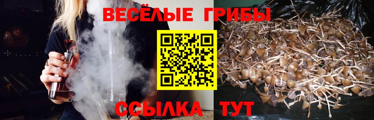 Псилоцибиновые грибы Psilocybine cubensis Чапаевск